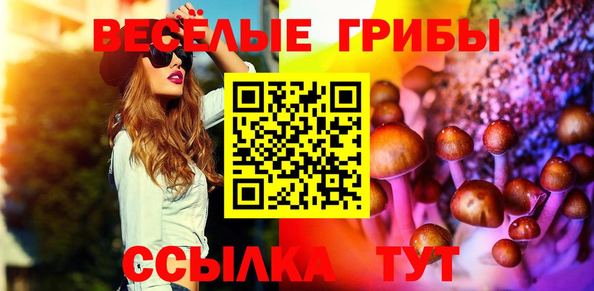 Псилоцибиновые грибы Psilocybe Ишим