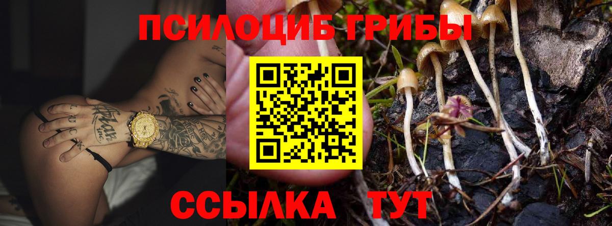 Ишим  где купить наркоту  Вход с VPN  Псилоцибиновые грибы Psilocybe 